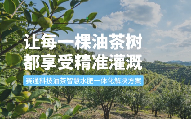 赛通科技油茶Ebpay(中国)水肥一体化解决方案：让每一棵油茶树都享受精准灌溉